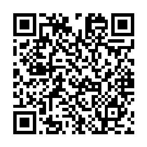 上一把输的那一局他们将主要原因归咎为了自己的失误二维码生成
