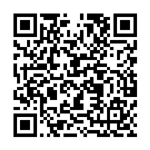 上一次世界大战德国由于两线作战和综合国力的不济而战败二维码生成