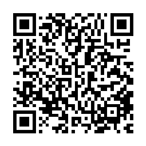 上一次你來的时候实力虽然不稳定但却已经接近第三境界中期了二维码生成