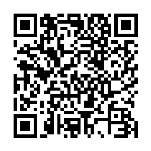 上一次姬圣杰就是因为收买盗墓贼的赃物被警察给盯上了二维码生成