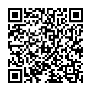 上一次苍茫山的传人下山的时候虽然清云先生年纪尚小二维码生成