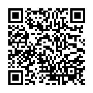 上一次这么大手笔的精神力洒落还是入学考试时渔翁出关洒的二维码生成