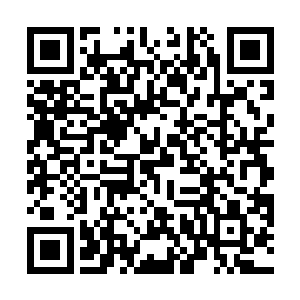 上上下下的瞅了这个跟随自己时间最久的小丫鬟好几遍二维码生成