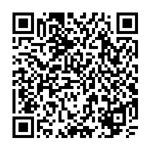 上了车子贝海才想起来这个事情还是通知一下星号未来的大副乔伊比较好二维码生成