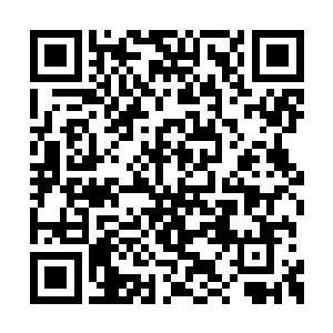 上任青蛇殿殿主夫人更是来自巴家一族老的孙女二维码生成