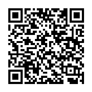 上元大陆的魔族和妖族负责守护通往遗失大陆的入口二维码生成