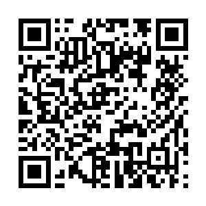 上前两步仔仔细细地打量着悬浮在空中的黑色巨兽二维码生成