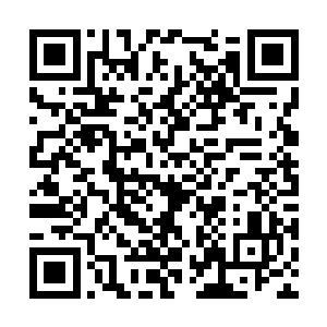 上前用双手掐住许紫烟的脖子使劲儿地摇晃着问道二维码生成