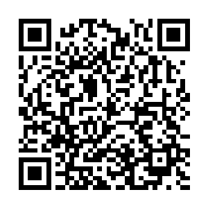 上千名元婴期以上的尸阴宗修真者们迅速地杀了进来二维码生成
