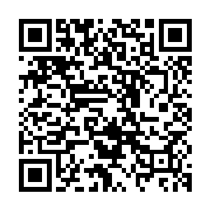 上午在云达不莱梅总部接受报纸采访的过程真是让黛玻菈很无语二维码生成