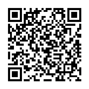 上午在会场听了代表们发言的媒体记者回到宾馆赶稿子二维码生成