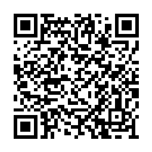 上午朝迪娜本来想找他谈关于凌桦美妆的侵权案二维码生成