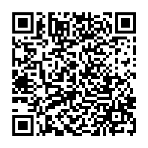 上半场比赛还没结束自己的主力中后卫就被罚下场的话…那这场比赛就完了二维码生成