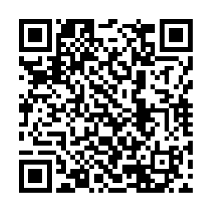 上单大树+打野末日+中单炸弹人+下路薇恩布隆组合二维码生成