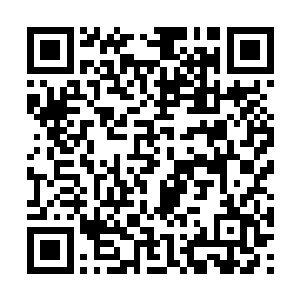 上单璐璐+打野盲僧+中单亚索+下路奥巴马锤石组合二维码生成