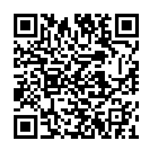 上单酒桶+打野潘森+中单豹女+下路老鼠娜美组合二维码生成