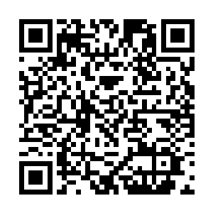 上去的时候凭着它们的小身板有点心有余而力不足了二维码生成