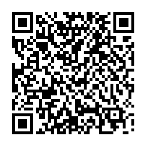 上古佛修的种种强大随着范筱梵的出关再次成为灵武大陆修士关注的焦点二维码生成
