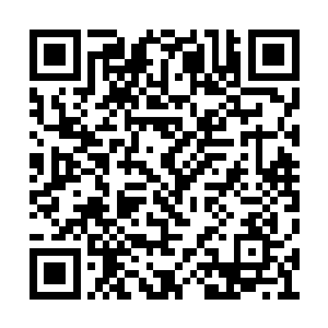 上古时代流传下来的先天符叶已经越来越稀少了二维码生成