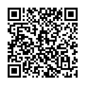 上品灵石这可是他们之前的时候见都没有见过的东西二维码生成