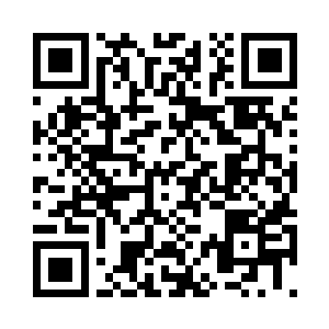上回苏先生用细纱堆出的那支海棠花二维码生成