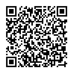 上完了所有的肥料之后父子俩又用水把码头上刚堆肥的地儿用水冲了一遍二维码生成