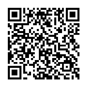 上官珊瑚也顺理成章的成为了钱宝来的秘密女友二维码生成