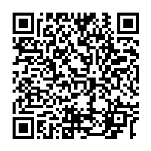 上官追风敏锐地的感觉到了眼前这个少年在这一刻身上竟然流溢出一股二维码生成