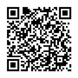 上帝之手的一群人连呼带喊的追杀到了驻地之外二维码生成