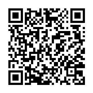 上方被称为九灵大人的小老头盯着烤鱼猛的点了点头二维码生成