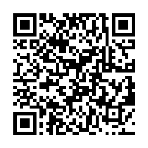 上杉铃音此时又看到在远处的一块开阔地带的草原上二维码生成