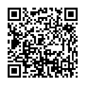 上杉铃音用指尖在那杨树断面上的年轮上轻轻滑动二维码生成