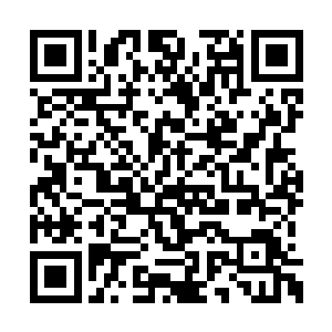 上次不是说你腰上面有一枚牡丹花的先天印记吗二维码生成