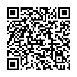 上次与杨开战斗的时候这家伙似乎还没有这么高大二维码生成