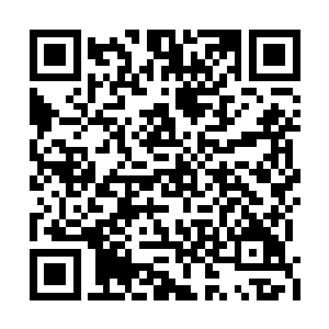上次从豆沙关带回来的钱粮我们还有很多的剩余二维码生成