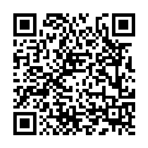 上次他见这无角青年还只是一个有点古怪的小祭司二维码生成