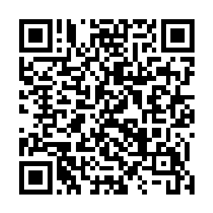 上次你问老二为什么不让个聪明点的夏侯家女儿入宫为后二维码生成