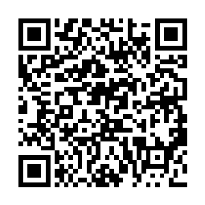 上次俞一江意图行贿的证据可还在派出所里存着档呢二维码生成