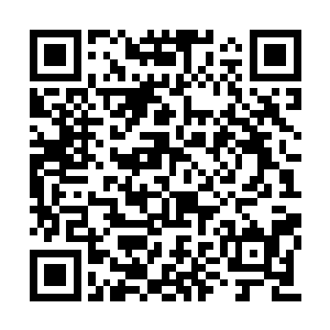 上次冒险进入星辰炎流所修复的超聚变采集装置二维码生成