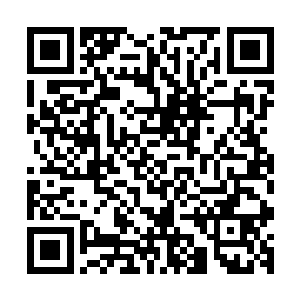 上次听公司的练习生在哪里传公司可能要把我们合同给解约了二维码生成