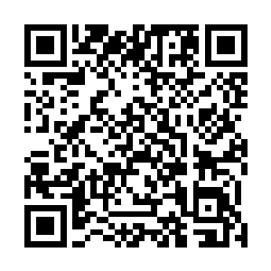 上次吴虎臣到这里来她还能够感受的到吴虎臣的实力强弱二维码生成