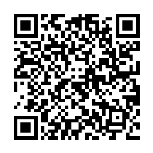 上次咱们西华城就有一个化神中期修士大半夜站在港口海边二维码生成