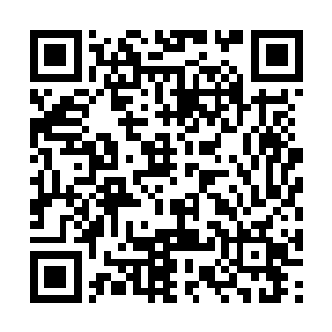 上次在她书房就见到琳琅满目跟小图书馆似的储藏二维码生成