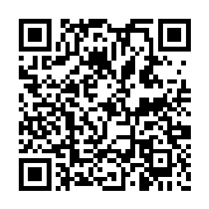 上次在海岛龙窟刺杀你的那些人的背景很不简单二维码生成