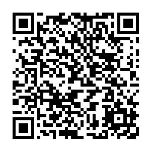 上次在海岛龙窟的时候他已经领教过自己和一名十级的强战士之间的差距二维码生成