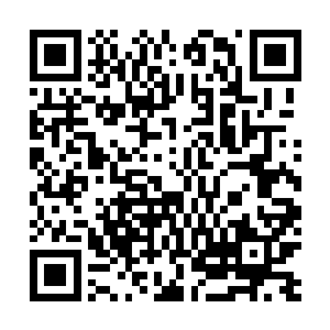 上次在王九九用枪指着他的时候他为什么没有想办法反击二维码生成