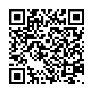 上次姑姑说会带我去动物园看长颈鹿二维码生成