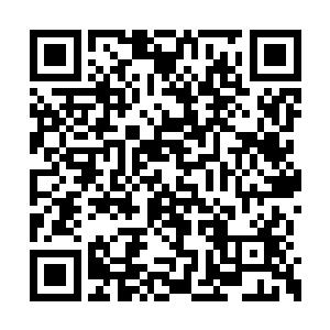 上次差点儿把一只成年的大黑背直接给咬废掉了二维码生成