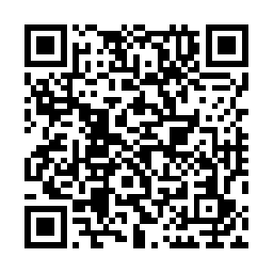 上次我们一起吃饭的时候看见一个美女的时候你还脸红呢二维码生成