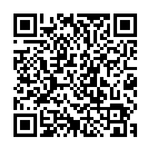 上次我托人帮大姐姐打听祝举人和马家五少爷的事情都有回信了二维码生成